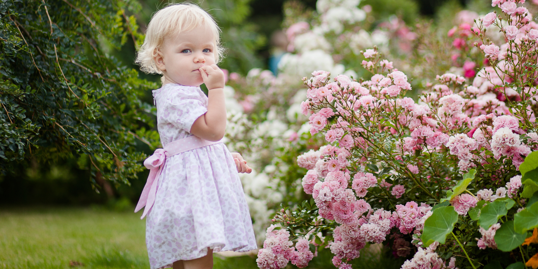 Infant Dress